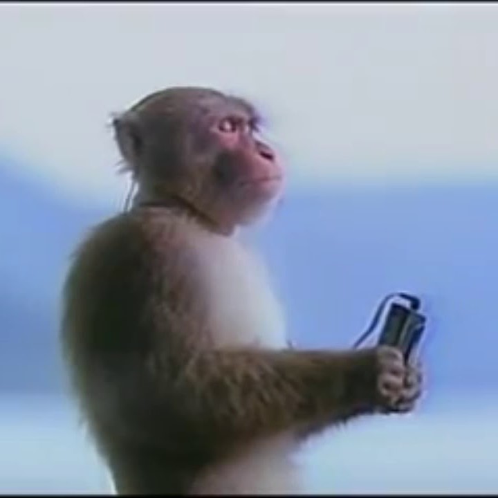 Sony Walkman Monkey